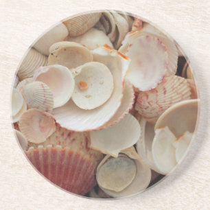 Posavasos EE. UU., Florida. Primer plano de conchas en Santa