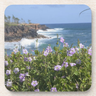 Posavasos EE. UU., Hawái, Kauai, cerca de Kapaa, noroeste
