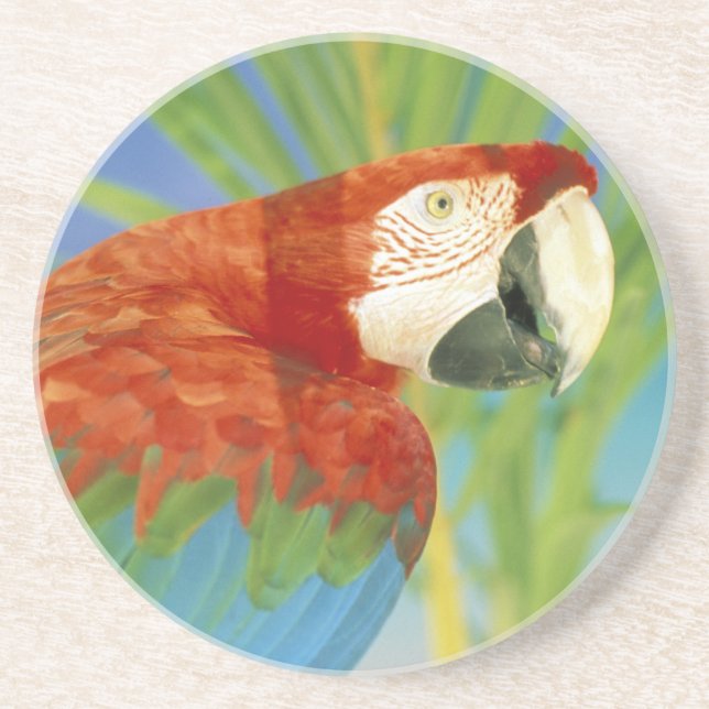 Posavasos EE. UU., Hawái. Loro (Frente)