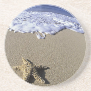 Posavasos EE. UU., Hawái, Maui, Makena Beach, Estrella de ma