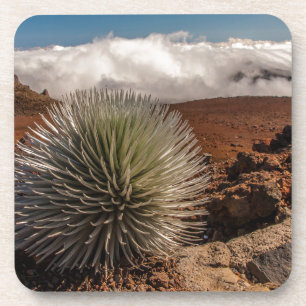 Posavasos EE. UU., Hawái, Maui, Parque Nacional Haleakala