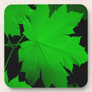 Posavasos EE.UU., Kansas, Roble A La Luz