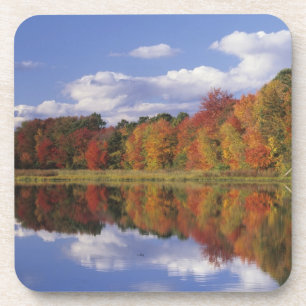 Posavasos EE. UU., Massachusetts, Acton. Reflejo de otoño