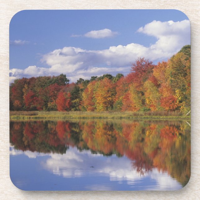 Posavasos EE. UU., Massachusetts, Acton. Reflejo de otoño (Frente)