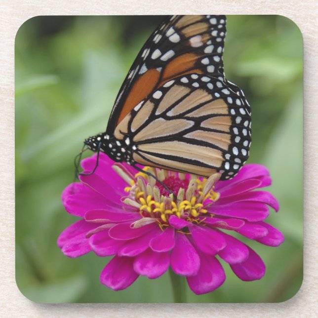 Posavasos EE.UU., Massachusetts, Boylston, Tower Hill (Frente)