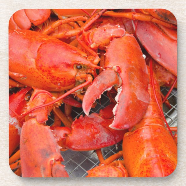 Posavasos EE. UU., Massachusetts, Martha's Vineyard (Frente)