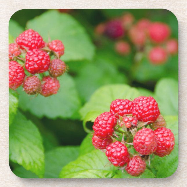 Posavasos EE. UU., Massachusetts, Nantucket. Frambuesas madu (Frente)