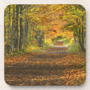 Posavasos EE. UU., Michigan, Península Superior. Carretera h