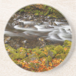 Posavasos EE. UU., Oregón, desfiladero del río Columbia, Tan