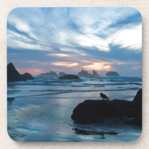 Posavasos EE. UU., Oregón, playa de Bandon. Gaviota en roca