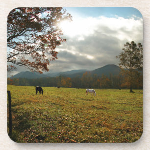 Posavasos EE. UU., Tennessee. Caballos en el valle de Cades 
