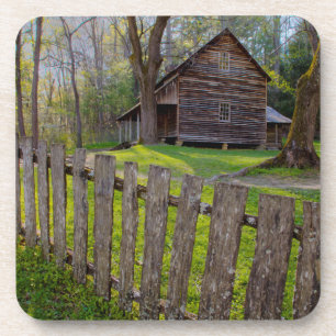 Posavasos EE. UU., Tennessee, Cabaña en Cades Cove