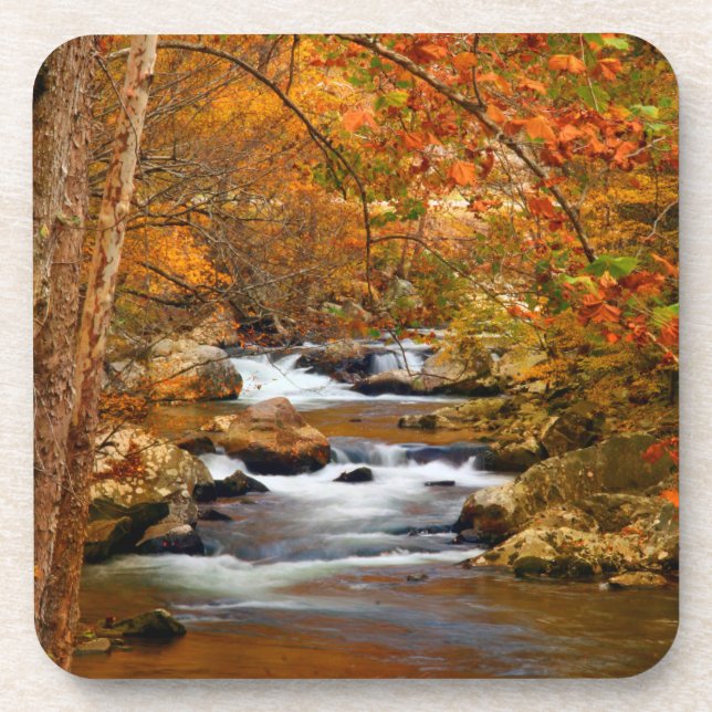 Posavasos EE.UU., Tennessee. Creek de montaña rusa (Frente)
