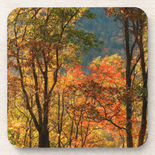 Posavasos EE. UU., Tennessee. Follaje de otoño