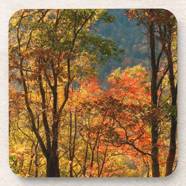 Posavasos EE. UU., Tennessee. Follaje de otoño (Frente)