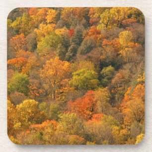 Posavasos EE. UU., Tennessee. Follaje de otoño 2