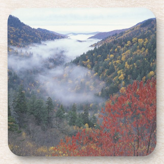 Posavasos EE.UU., Tennessee, Great Smokey Mountains National (Frente)