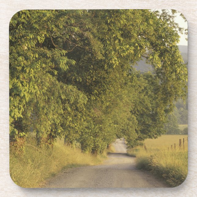 Posavasos EE.UU., Tennessee, Great Smoky Mountains National  (Frente)