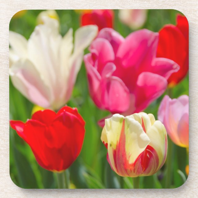 Posavasos EE.UU., Tennessee, Nashville (Frente)