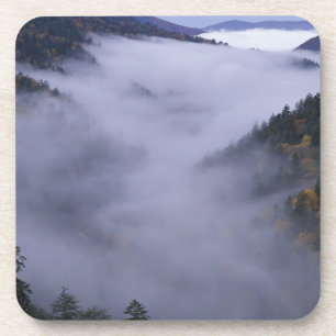 Posavasos EE. UU., Tennessee. Parque Nacional Grandes Montañ
