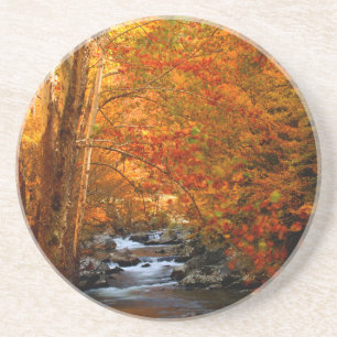 Posavasos EE. UU., Tennessee. Rushing Mountain Creek 2