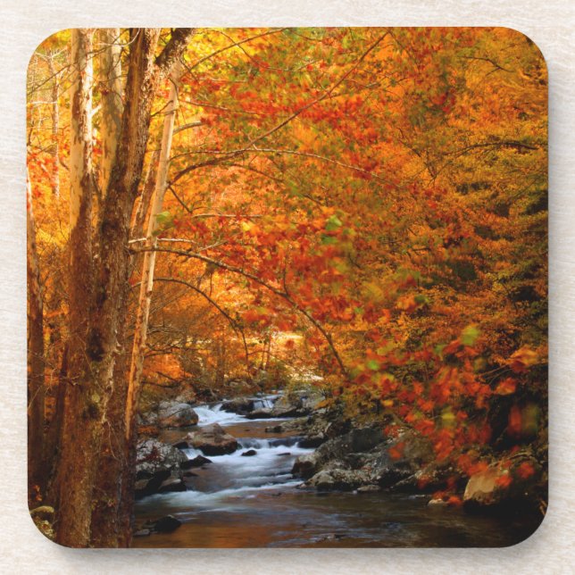 Posavasos EE. UU., Tennessee. Rushing Mountain Creek 2 (Frente)