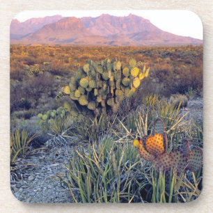 Posavasos EE. UU., Texas, Big Bend NP. Un anochecer arenoso