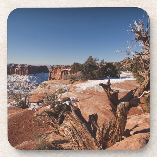 Posavasos EE. UU., Utah, Moab. Parque Nacional Canyonlands, (Frente)