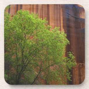Posavasos EE. UU., Utah, Paria Canyon- Vermillion Cliffs