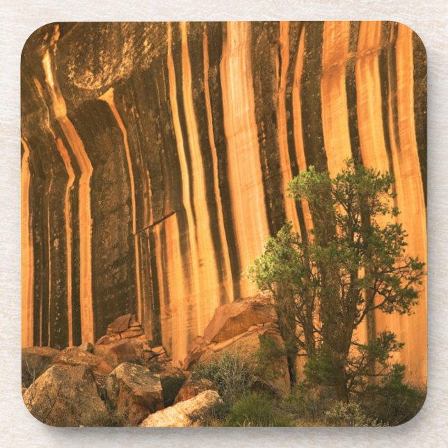 Posavasos EE. UU., Utah, Parque Nacional Capitol Reef (Frente)