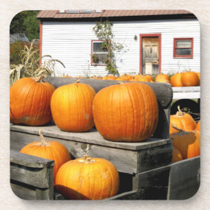 Posavasos EE. UU., Vermont. Calabazas