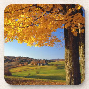 Posavasos EE. UU., Vermont. Escenario agrícola cerca de Sout