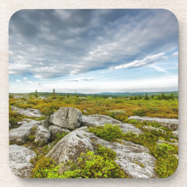 Posavasos EE.UU., Virginia Occidental, Davis. Paisaje en Dol (Frente)