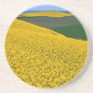 Posavasos EE.UU., Washington, Condado de Whitman, Palouse, C