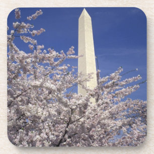Posavasos EE. UU., Washington DC. Festival de las flores de