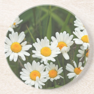 Posavasos EE.UU., Washington, Seattle, Puget Sound 3