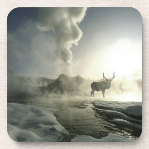Posavasos EE. UU., Wyoming, Parque Nacional Yellowstone. Ama
