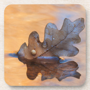 Posavasos EEUU, Nuevo México. Hojas de roble en curso