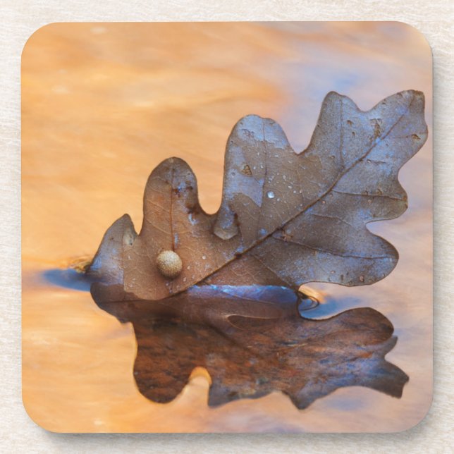 Posavasos EEUU, Nuevo México. Hojas de roble en curso (Frente)