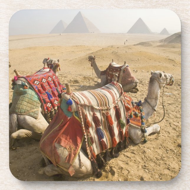 Posavasos Egipto, El Cairo. Camellos descansando (Frente)