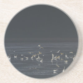 Posavasos Egrets En El Océano Azul Medianoche