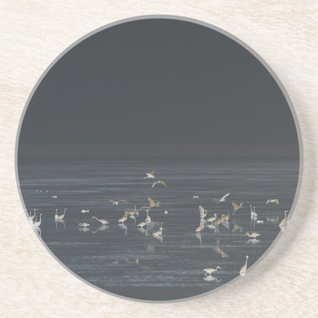 Posavasos Egrets En El Océano Azul Medianoche (Frente)