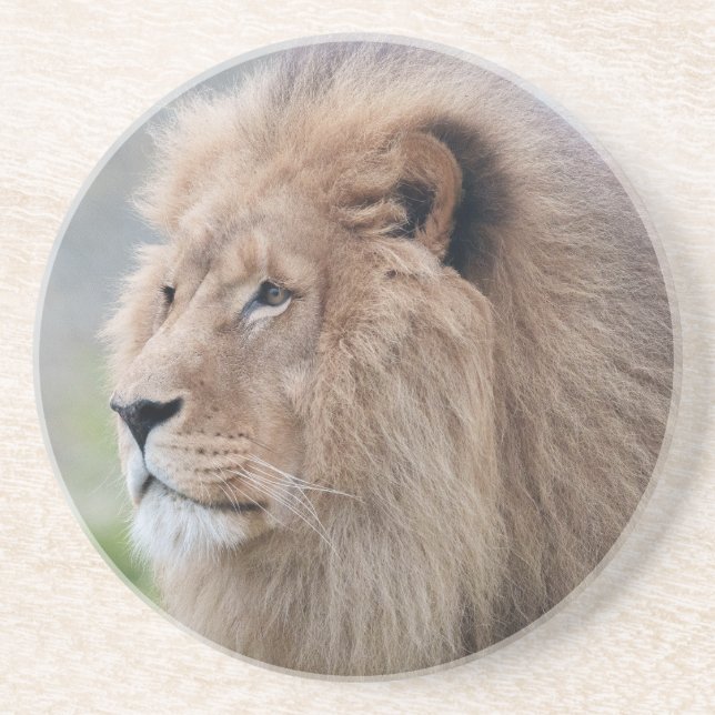 Posavasos El abrazo del león (Frente)