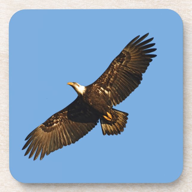 Posavasos El águila calva se eleva 2 (Frente)