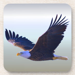 Posavasos El águila calva volando