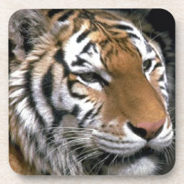 Posavasos El arte de los amantes del tigre siberianos