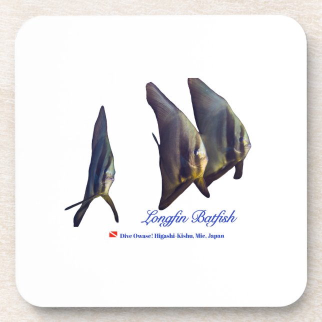 Posavasos El Baterinato De Longfin De Cute (Frente)