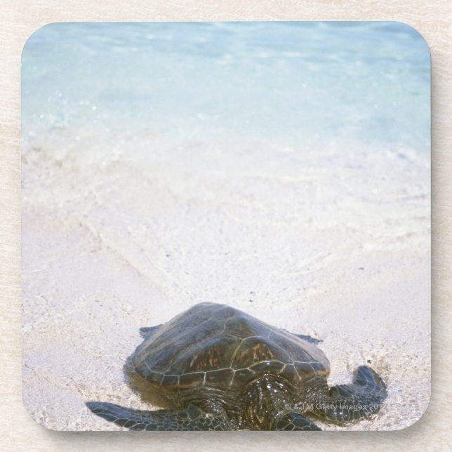 Posavasos El borde del agua (Frente)