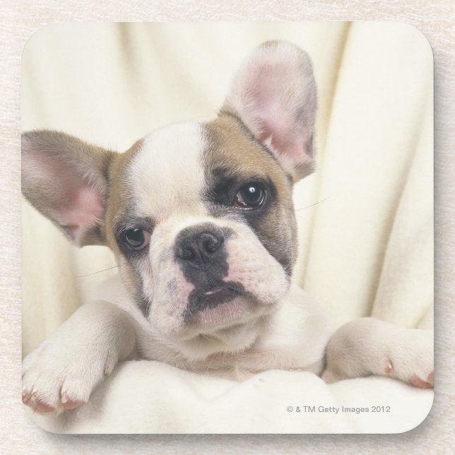 Posavasos El bulldog, a menudo llamado el bulldog inglés, 2 (Frente)