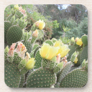 Posavasos El cactus florece los prácticos de costa